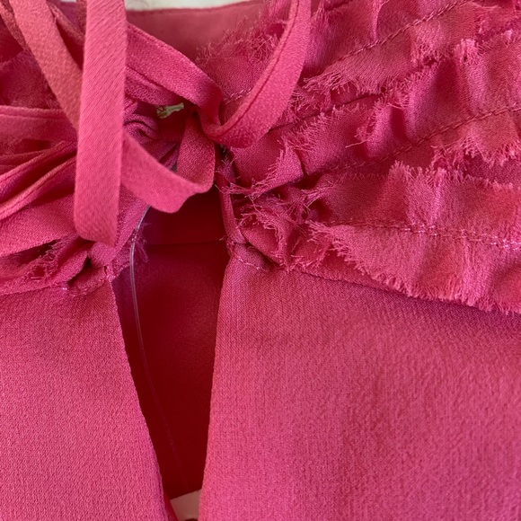 BCBG Gorgeous Pink Silk Chiffon Gown - Picture 7 of 10